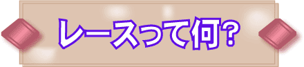 レースって何?